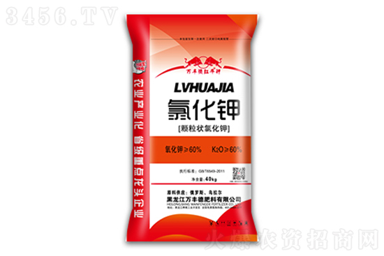 快评 第225页