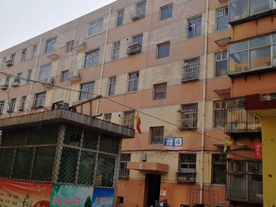 栾城区二手房市场最新动态，房价走势与购房指南