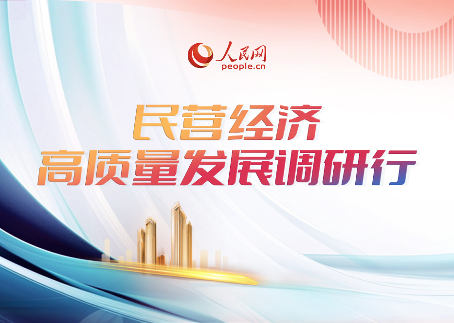 2025精准资料大全免费，全面贯彻解释落实的实践指南