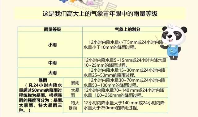 澳门一码一肖一特一中，公开性与实用释义的深度解析