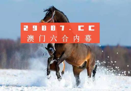 澳门一肖一码一必中一肖，同舟前进，全面贯彻解释落实