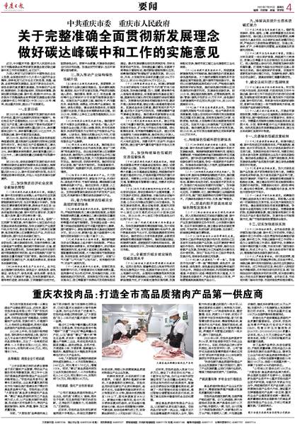 2025澳门展望，全面贯彻与落实的未来蓝图