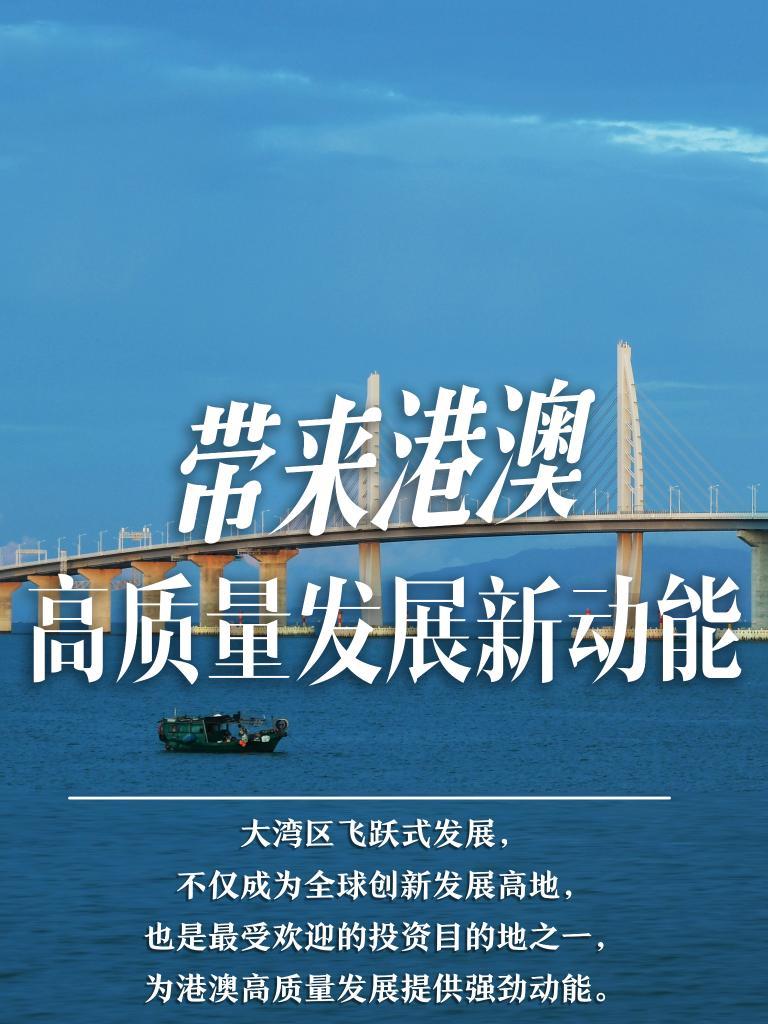 澳门新机遇，全面贯彻解释落实L539.58.218的精准大全