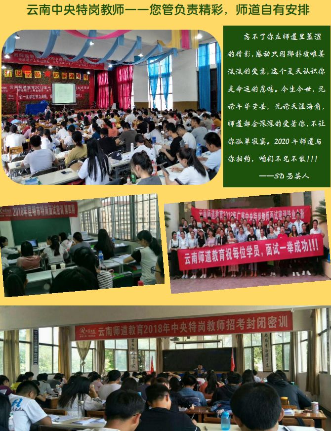 澳门一码一肖一特一中，公开性与实用释义的深度解析