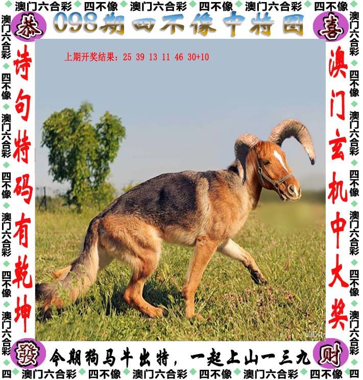 澳门今晚开特马四不像图，实用释义与解释落实