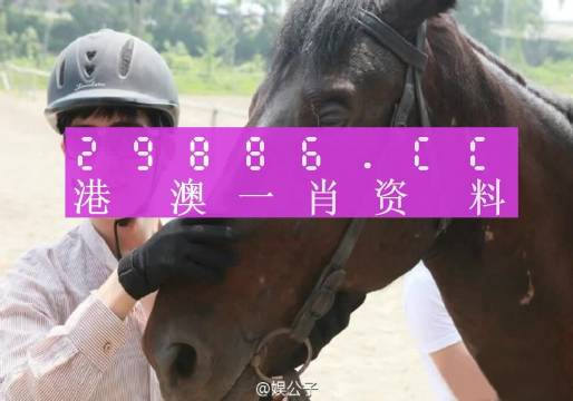 澳门必开一肖一码一中，实用释义与解释落实
