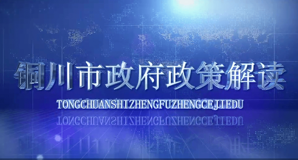 2025新澳门正版免费资本车，全面贯彻解释落实的深度解析
