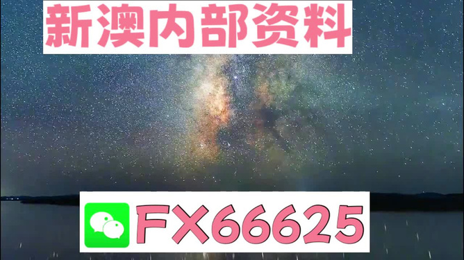探索新澳天天彩资料大全最新版本，实用释义与解释落实