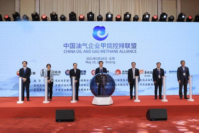 2025新奥最精准免费大全，词语释义与解释落实的深度探索