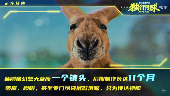 澳门今晚开特马四不像图，揭秘与解析