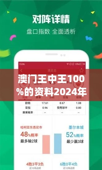 探索新澳门王中王100%期期中的实用释义与落实策略