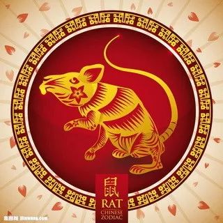 摇钱树四肖八码期期三码必中，理性解析与责任落实