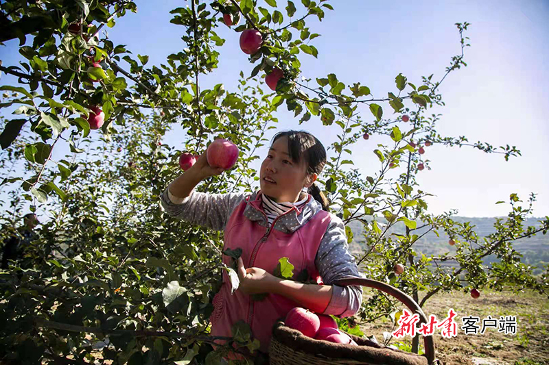 探索新澳2025，天天正版资料大全的词语释义与实际落实