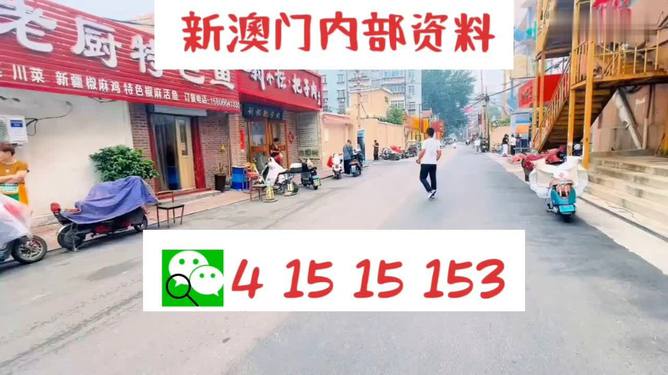 澳门天天开好彩大全19期，精选解析与解释落实