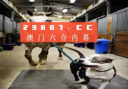 澳门最准一肖一码一码孑，揭秘与误解的边界