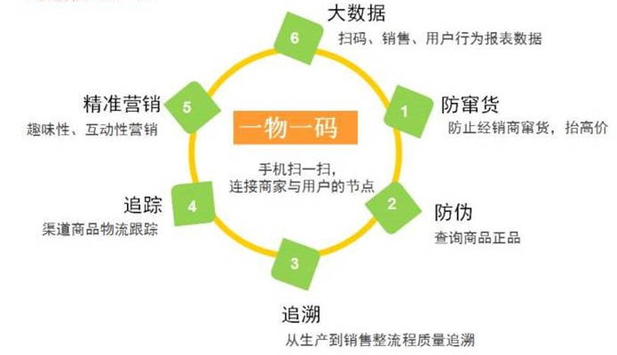 揭秘一肖一码中的真相，词语释义与实际应用解析
