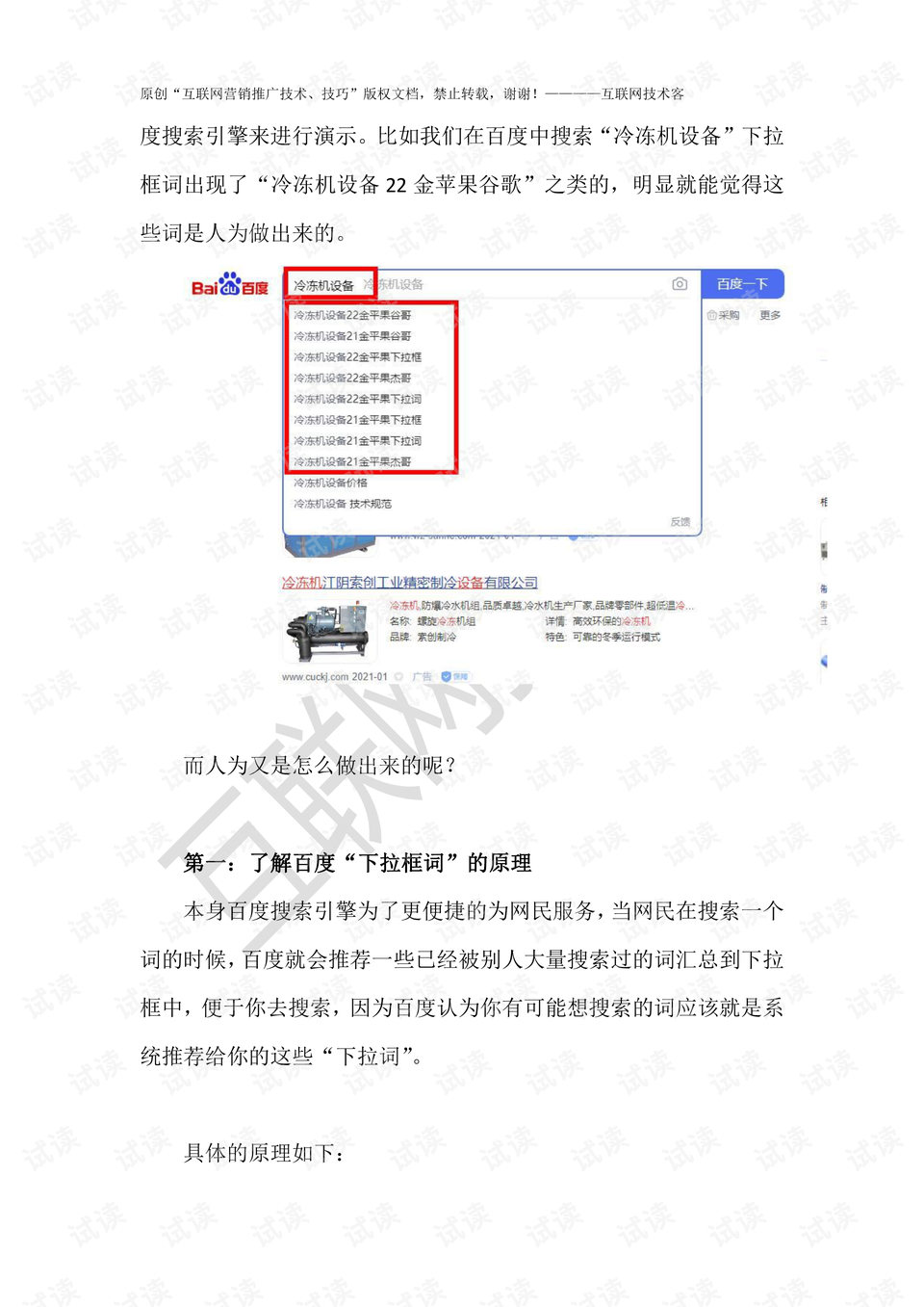 精准预测，一码一肖100%的奥秘与词语释义的深度解析
