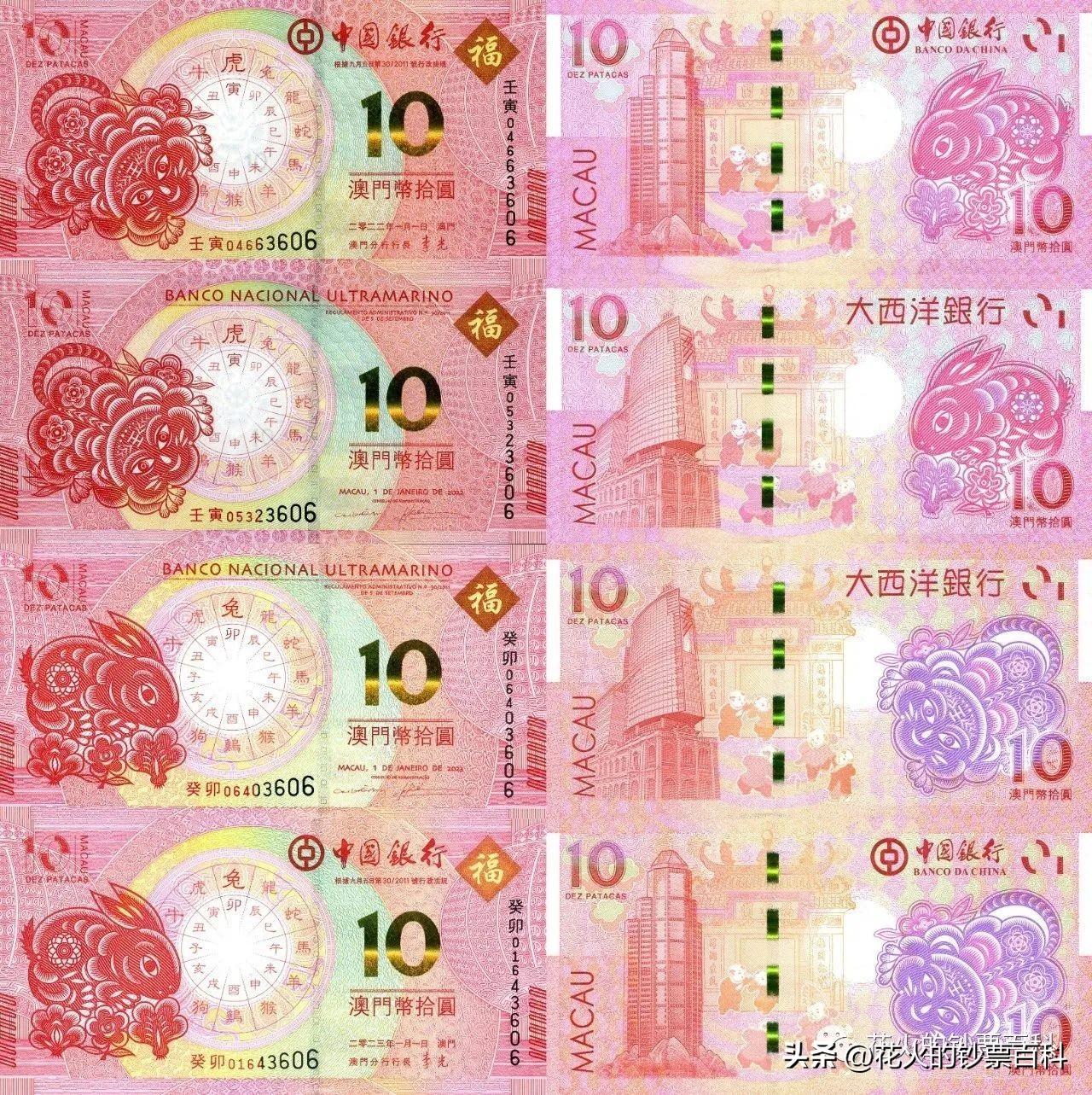 探索新澳门2025，最精准免费大全与精选解析的深度解析