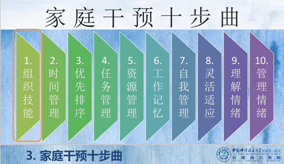 2024高考新澳门一码一肖一特一中，精选解析与策略指导