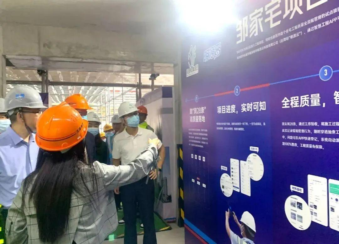 2024精准资料免费大全，全面贯彻解释与落实的实践指南