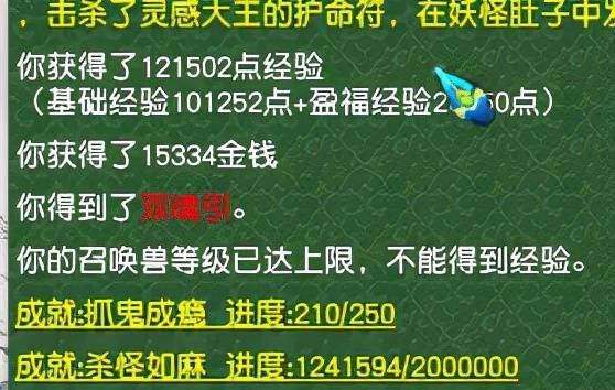 澳门一码一肖一待一中直播，全面贯彻解释落实的探索与思考