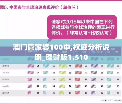 澳门管家婆100中，精选解析与解释落实