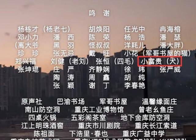 管家最准一码一肖，精准预测的背后与词语释义的落实