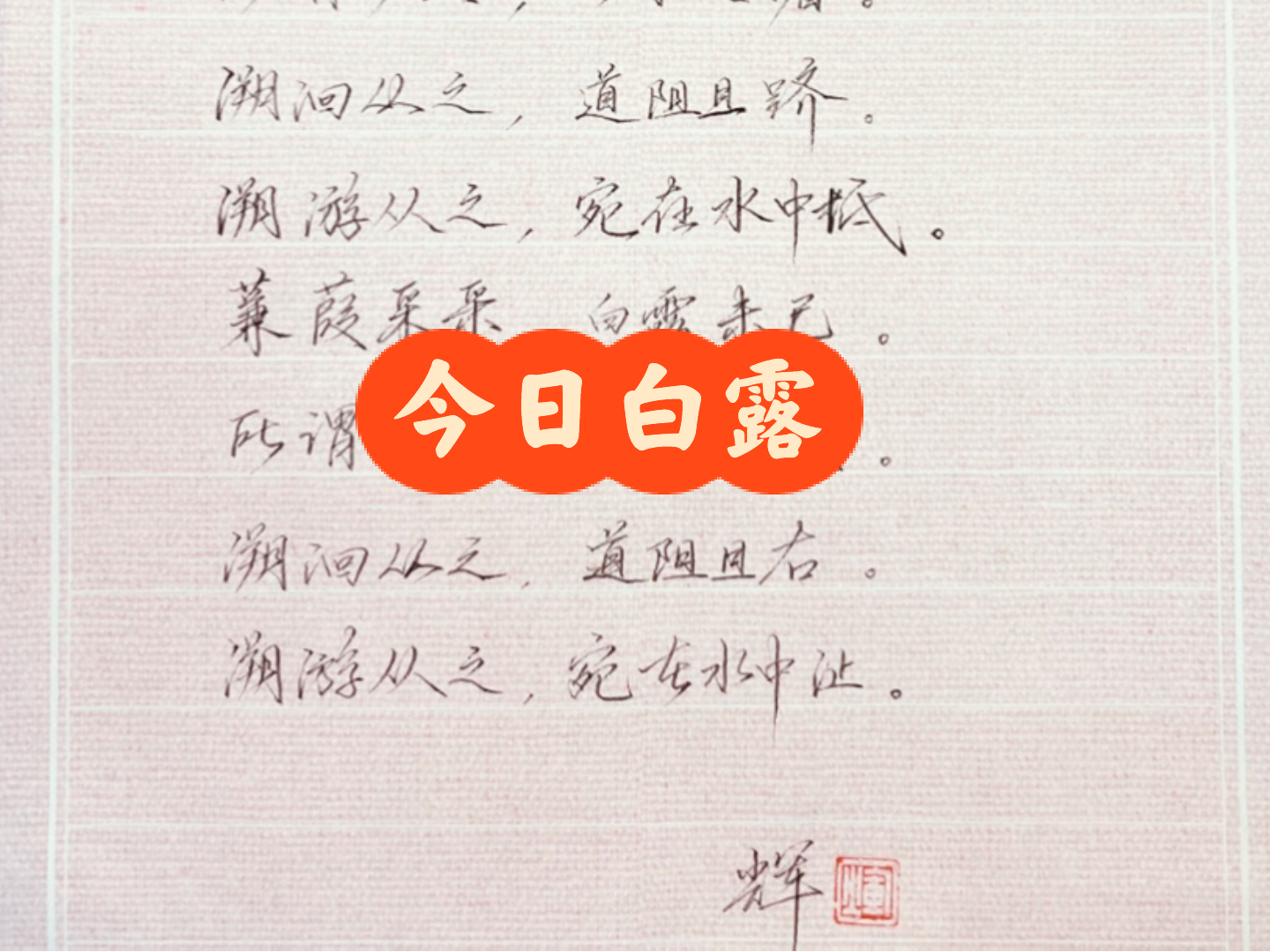 白小姐449999精准一句诗与全面释义解释落实的深度探讨