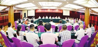 新澳2025正版资料大全，全面贯彻解释落实的实践与意义