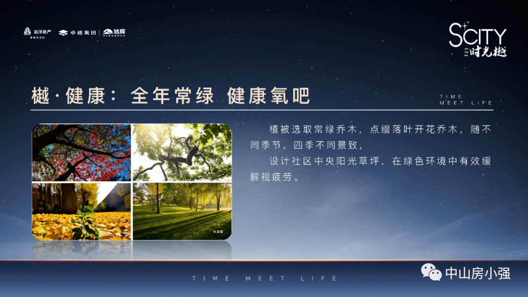 2025新澳正版资料最新，深度解析与精选指南