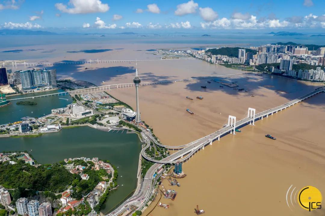 探索新澳门2025，最精准免费大全的词语释义与实际落实