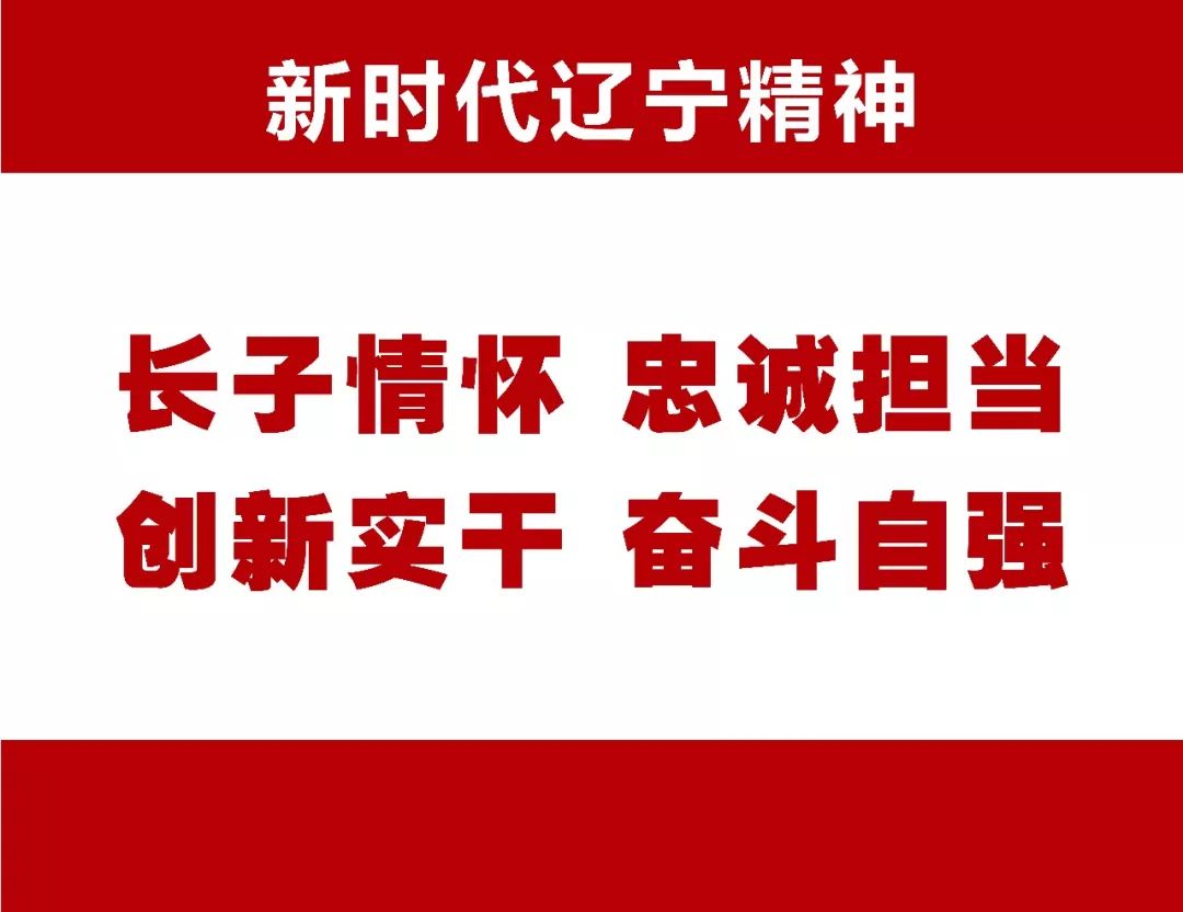 全面贯彻解释落实，新澳精准正版免费大全的实践与意义