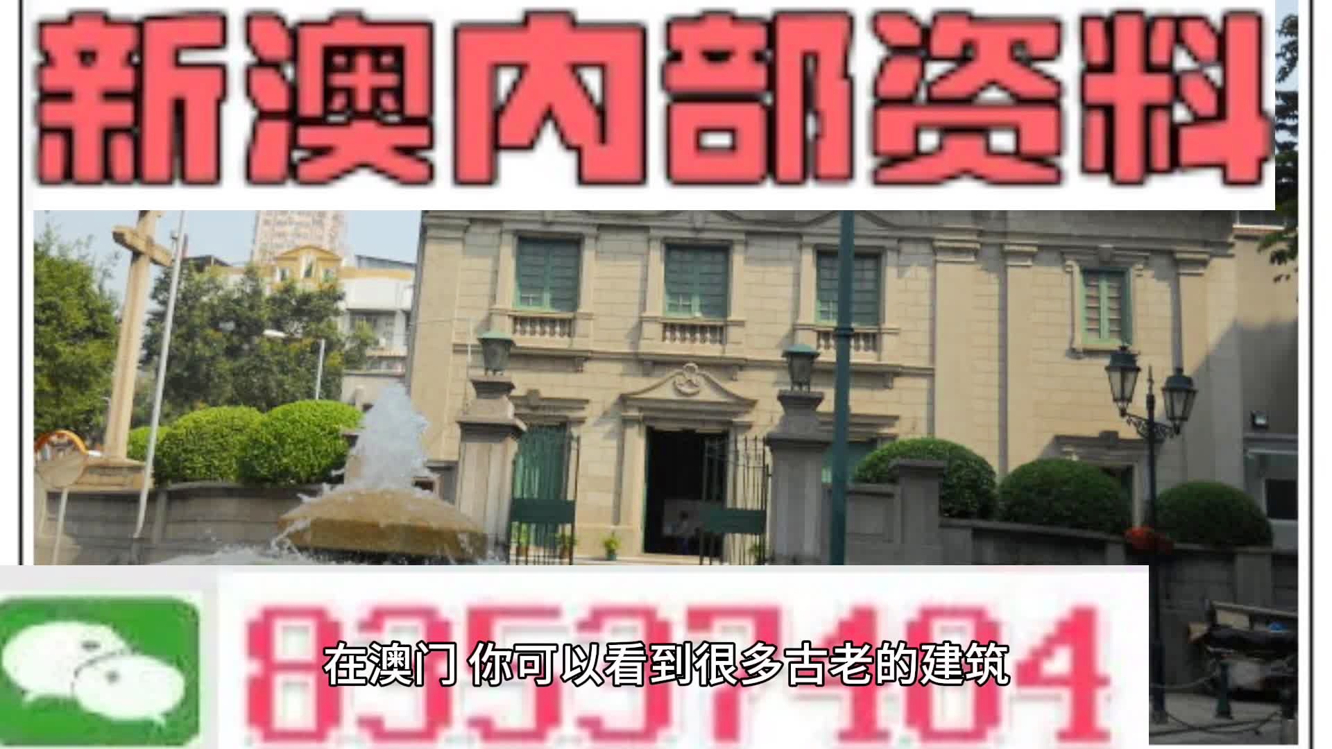 澳门内部资料精准大全，词语释义与解释落实的深度剖析