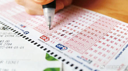 今晚澳门9点35分开奖，揭秘l539.58.218的词语释义与开奖背后的故事