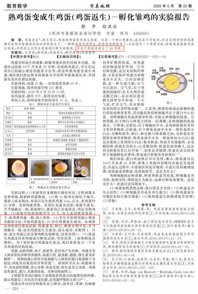澳门，精准释义与实际落实的典范