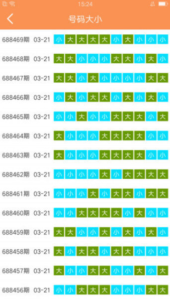 2025澳门天天开好彩大全65期，词语释义与解释落实