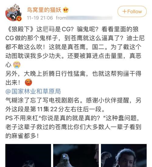 澳门今晚必中三肖三的神秘面纱，词语释义与理性解读