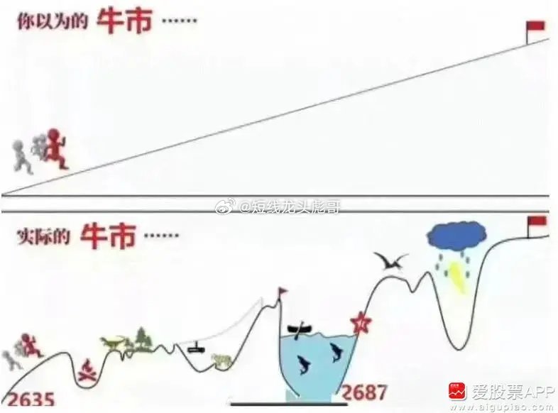 揭秘100%一肖一码100%精准的真相，理性与现实的碰撞