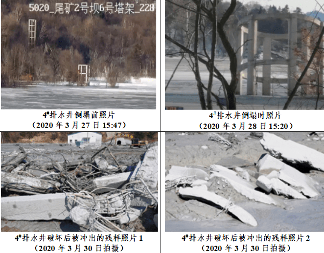 揭秘湖北堵河源保护区神秘四不像惊现事件，解析与落实精选详解