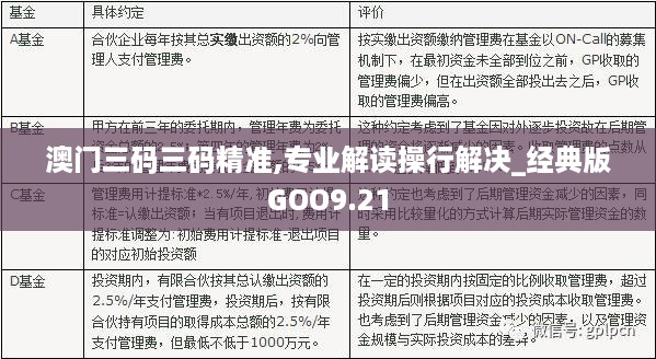 澳门三码精准预测，解析与落实之道