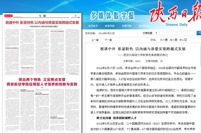 黄大仙中特论坛资料大全，精选解释解析与落实策略