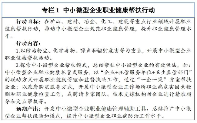 迈向2025，正版资料免费公开，精选解释解析落实
