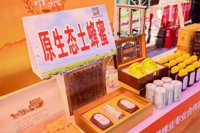 2023年白小姐开奖结果今晚揭晓，深度解析与精选解释