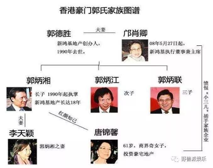 香港最准的精选解释解析落实策略，迈向繁荣稳定的蓝图