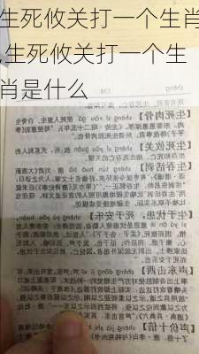 杀肖高手交流论坛的最新内容与动态解析