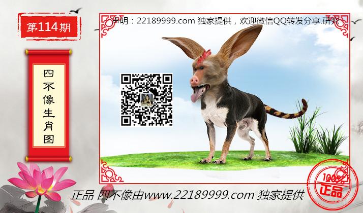 资讯 第102页