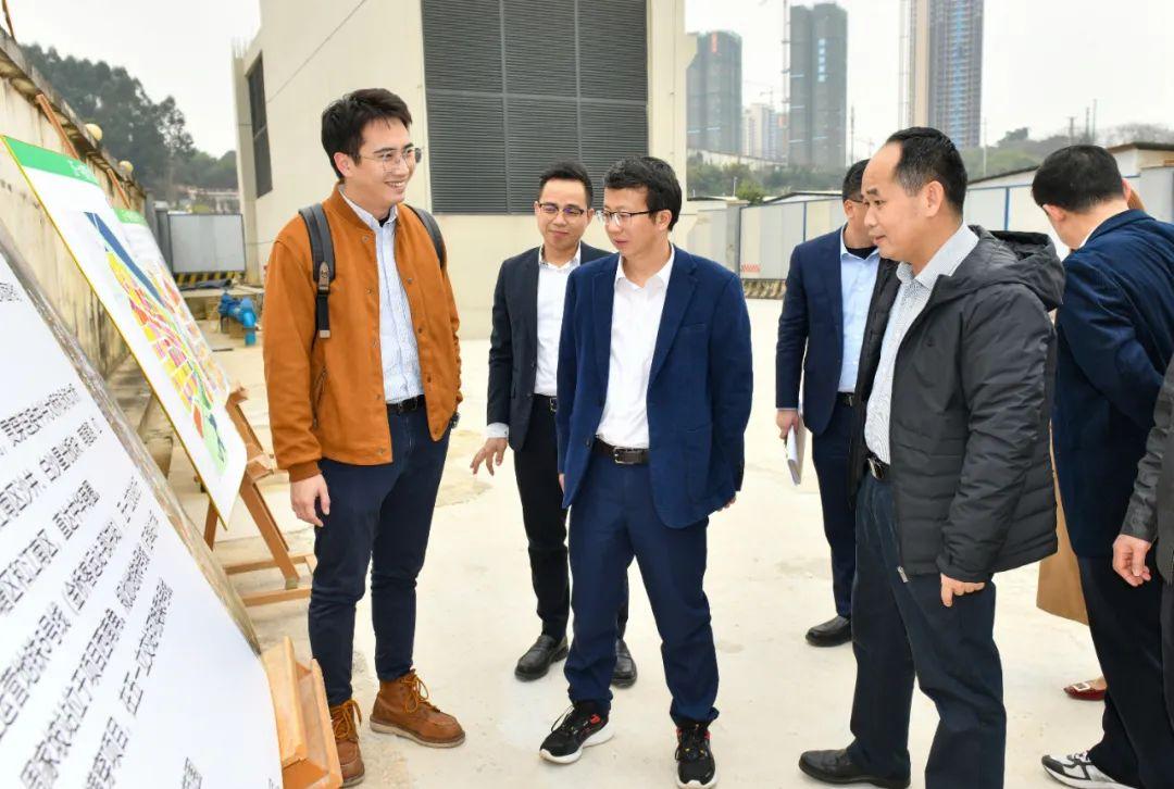 新奥特料免费资料查询，精选解释解析落实的重要性及方法