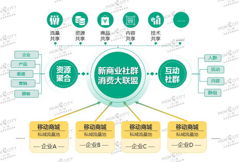 探索澳门未来，解析新澳门正版免费资源车的发展与落实策略