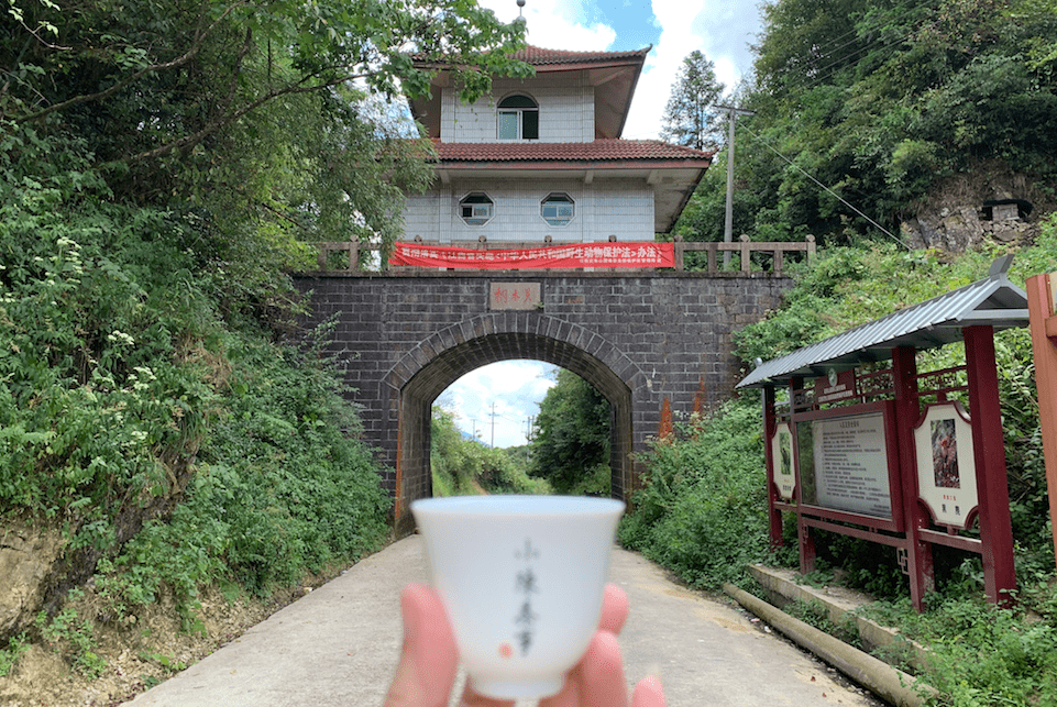 澳门一码一肖一待一中四不像的解析与精选解释
