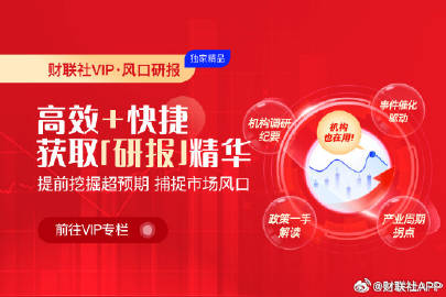 一肖一码一一肖一子，精选解释解析落实的策略与方法
